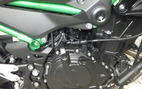 KAWASAKI Z250 Gen.2 2024 EX250Y