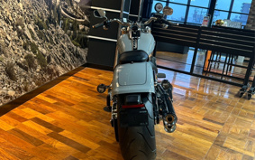 HARLEY  HARLEY FLFBS 2025 YGK