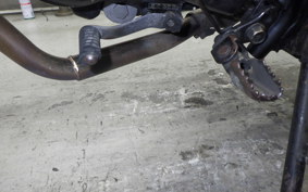 YAMAHA TW200 2021 2JL