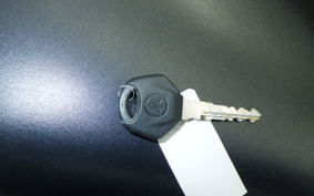 YAMAHA YZF-R25 RG43J