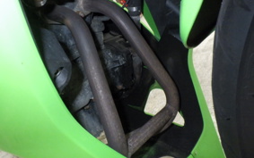 KAWASAKI NINJA 250R 2019 EX250K