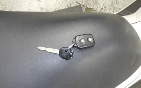 YAMAHA MAXAM 250 2024 SG21J