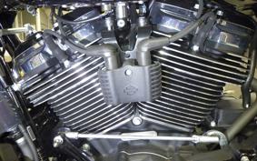 HARLEY FLHX1920 2025