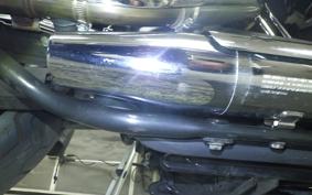 HARLEY XL883N