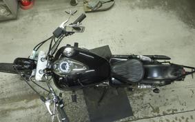 YAMAHA DRAGSTAR 250 2013 VG02J