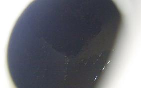 HARLEY FLSTF 1450 2002