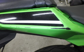 KAWASAKI NINJA 250 EX250L