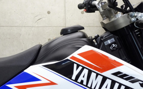 YAMAHA WR250X DG15J