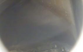 HARLEY XL1200CI 2010