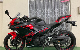 KAWASAKI Ninja 250 ABS EX250P