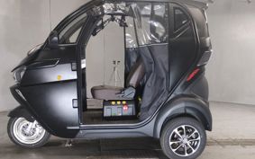 OTHER EV-LAND ZINMA ..