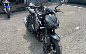 KAWASAKI Z1000 2019 ZXT00W