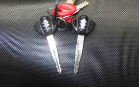 SUZUKI Vｽﾄﾛｰﾑ250A 2008