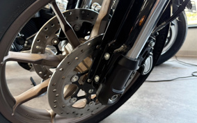 HARLEY FXLRS 2022 YWZ