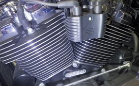 HARLEY FXBRS1870 2019