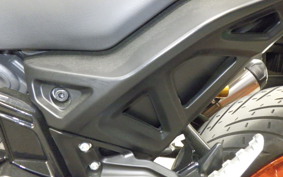 INDIAN FTR1200 2025