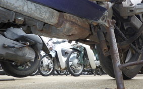 HONDA XELVIS MC25