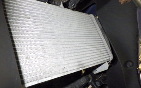 YAMAHA YZF-R25 A 2009 RG43J