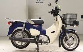 HONDA C110 SUPER CUB JA61