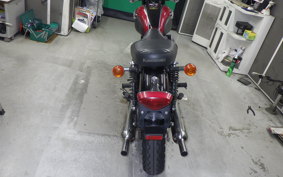 KAWASAKI W800 2013 EJ800A