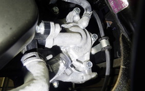 HONDA TACT Basket 1998 AF79
