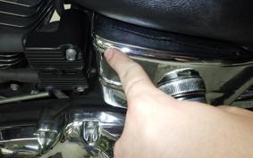 HARLEY FXDL1690 2017