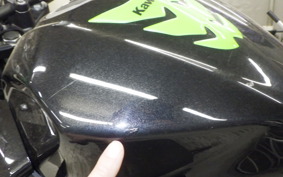 KAWASAKI Z250 Gen.2 EX250P