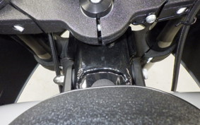 HARLEY FXLRST1920 2024