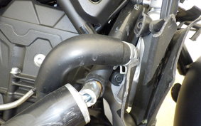 YAMAHA MT-25 A RG74J