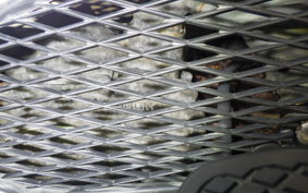 HONDA GIORCUB 2010 AF53