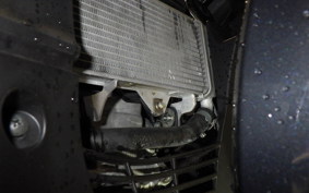 YAMAHA YZF-R125 2012 RE45J