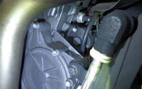 INDIAN FTR1200 carbon 2022