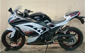 KAWASAKI NINJA 250 EX250L