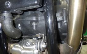 TRIUMPH SPEED TWIN 900 2024