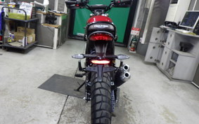 TRIUMPH SCRAMBLER400X 2024