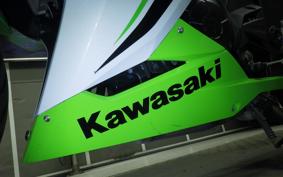KAWASAKI NINJA 250 EX250L