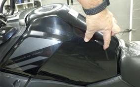 SUZUKI V-STROM 250