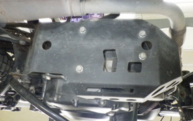 OTHER +MUTTｻﾊﾞｽ250 2023