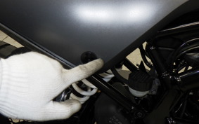 HUSQVARNA SVARTPILEN 401 2021
