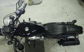 HARLEY XL1200XS 2019