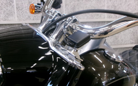 HARLEY FLFBS 2020 YGK