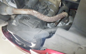 YAMAHA VINOﾓﾙﾌｪ-2 SA59J