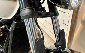 TRIUMPH BONNEVILLE T100 2021 DAD70G