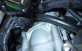 KAWASAKI ZX-4RR 2024 ZX400P