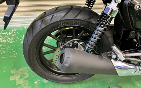 HONDA GB350S 2024 NC59