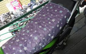 KAWASAKI SUPER SHERPA KL250G
