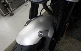 TRIUMPH SPEED TWIN 2024