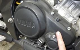 YAMAHA XSR155 2024