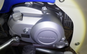 HONDA C110 SUPER CUB