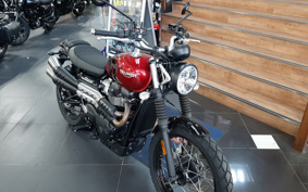 TRIUMPH  TRIUMPH  STREET  SCRAMBLER  2021 DAD78G